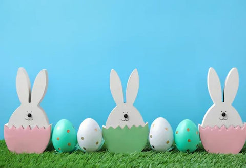 Easter Bunny Eggs Green Grass Photo Studio Backdrop SH123