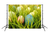 Easter Backdrop Easter Eggs Green Grass Photo Backdrop SH127