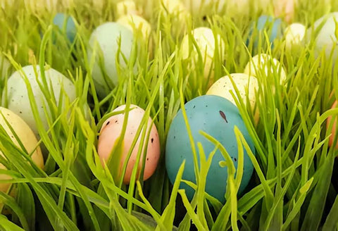 Easter Backdrop Easter Eggs Green Grass Photo Backdrop SH127