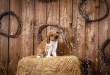 Bunny Hay Brown Wood Wall Backdrop for Photography SH147