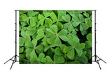 St. Patrick's Day Green Backdrop for Photo Studio SH187