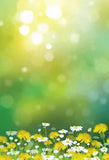 Green Bokeh Spring Backdrop for Photo Booth SH-217