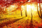 Fall Yellow Forest  Photography Backdrop