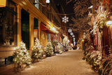 Town Street Christmas Decorations  New Year Photo Backdrop