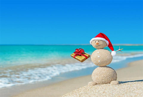 Beach Sea Snowman Christmas Photo Studio Backdrop