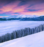 Snow-covered Valley Mountain Forest Christmas Background