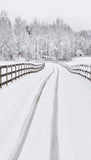 Nieve de Invierno Carretera Bosque Telón de Fondo para Fotomatón ST-439