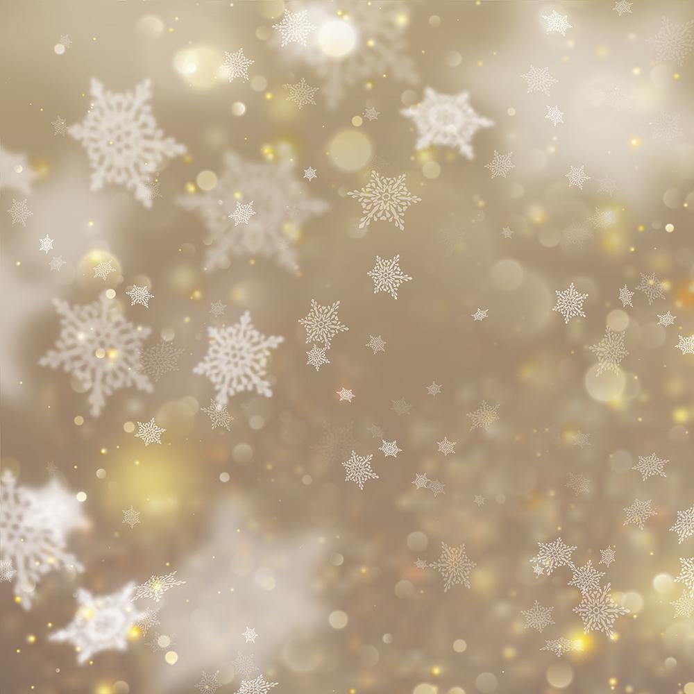 Small Snowflake Beautiful Background Photography backdrops for baby IBD-19344