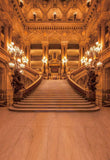 Golden Luxurious Palace Beauty and The Beast Scene Backdrop ZH-242