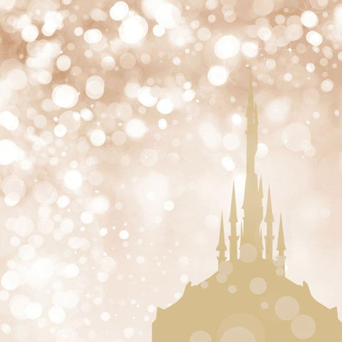 Photo Backdrop Bokeh Castle  Photography Background ZH-43