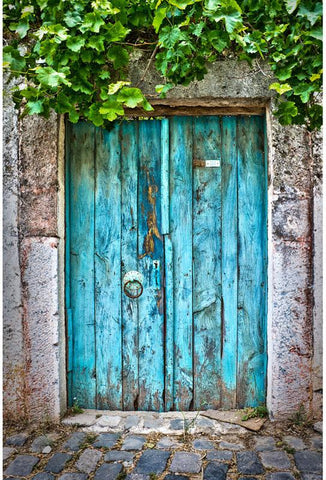 Blue Vintage Door Green Plants Photo Booth Backdrop ZH-48