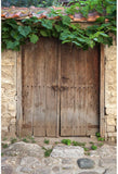 Vintage Wooden Door Green Plants Photo Booth Backdrop ZH-51