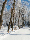 Winter Warm Sunshine Snowy Road Trees Photography Backdrop for Studio