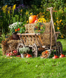 Festival Backdrops Halloween Farm Background Harvest Season IBD-19066