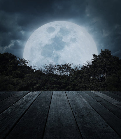 Festival Backdrops Halloween Backdrops Incomplete Moonlight Dark Wood Backdrops