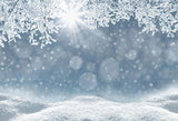 Winter White Snow Snowflake  Bokeh  Photo Booth Backdrop LV-1023