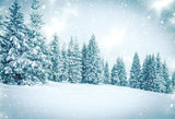 Winter Snowy Forest Christmas Tree Backdrop for Photo Booth