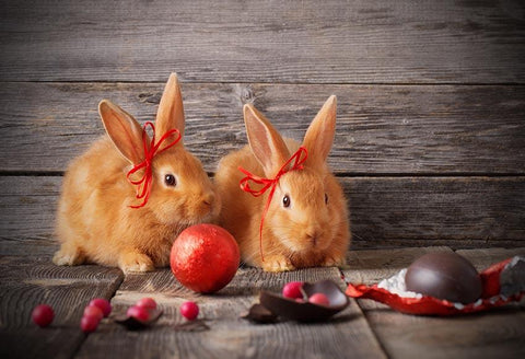 Easter Bunny Brown Wood Floor Photo Studio Backdrop LV-1486