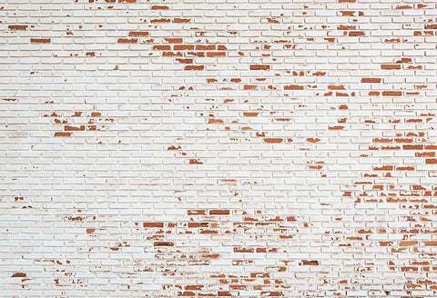 White Vintage Brick Wall Backdrop for Photo Studio LV-182