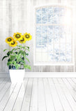 Window Background Sunshine Sunflower Backdrop for Photography LV-300