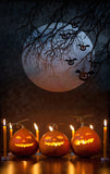 Pumpkin Lanterns and Candles Background Halloween Backdrops IBD-P19112