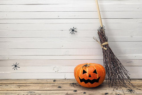 White Wall Background Pumpkin and Broom Halooween IBD-H19103