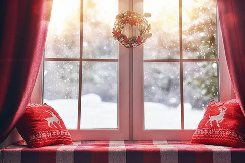 Christmas Snow And Sunshine Outside Window Backdrops for Photography DBD-H19155