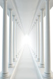 Palace Corridor Columns Photo Studio Backdrop ZH-163